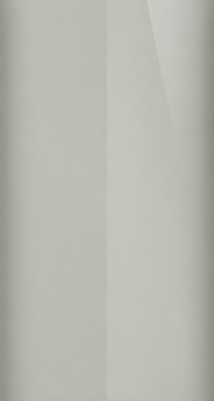 4SS color swatch