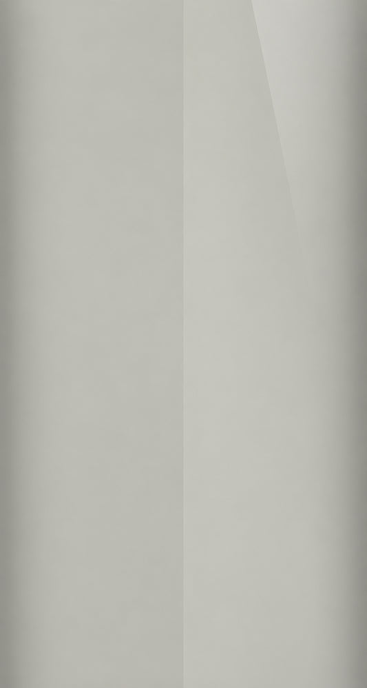 4SS color swatch