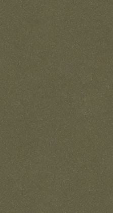 C6P Color Swatch