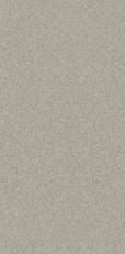 RW5 color swatch
