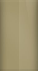 SE color swatch