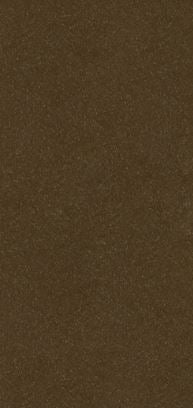 SN5 color swatch