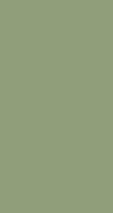 GM WA2992 Verde Pinehurst – Capa base MBC, MTK monocapa o aerosol de retoque