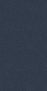 WA341X color swatch