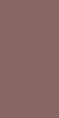 WA404Y color swatch