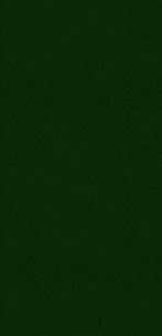 WA467Y color swatch