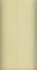 YR528M color swatch