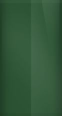 FV color swatch