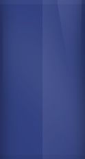 B561P color swatch