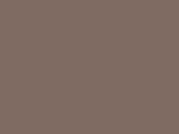 HFP 655 Base Coat, Arizona Beige (1 GL) - Auto Color