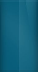 WA617D color swatch