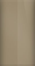 YR578M color swatch